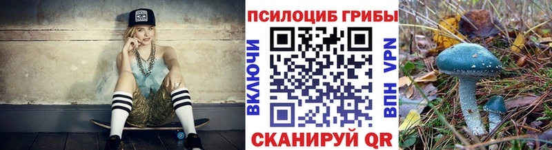 ссылка на мегу ссылки  Александровск  Галлюциногенные грибы мухоморы 